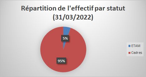 population-AUSY-1